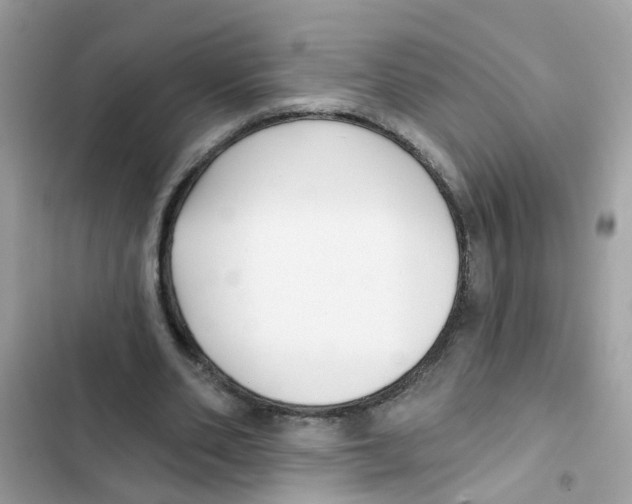 X0000101980486200808151405