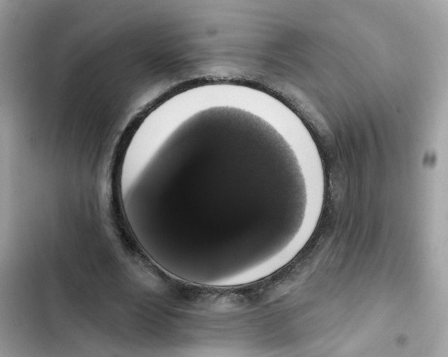 X0000101980488200808151405