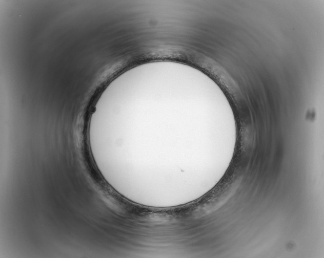 X0000101980490200808151405