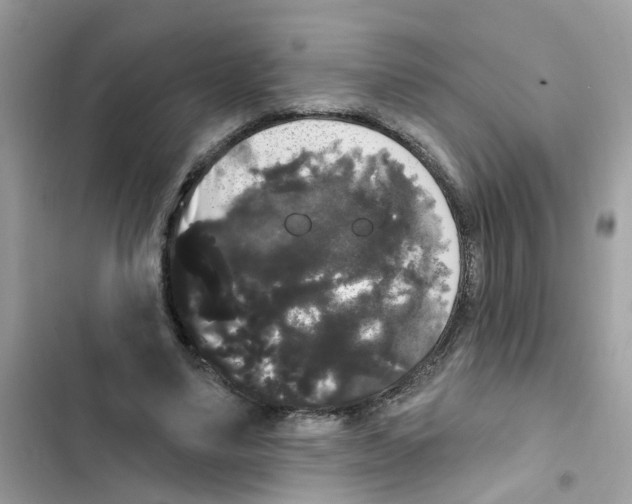 X0000101980491200808151405