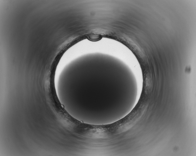 X0000101980492200808151405