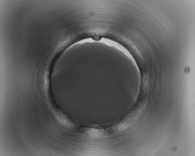 X0000101980494200808151405