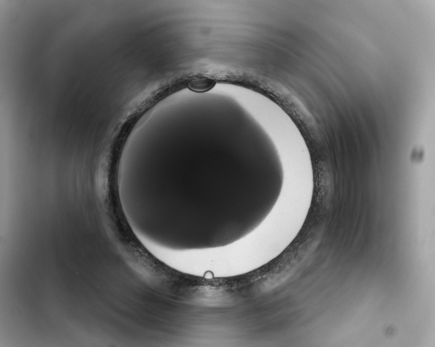 X0000101980496200808151404