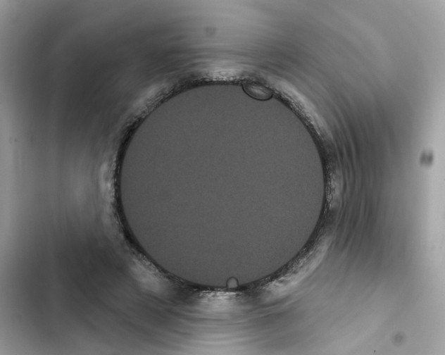 X0000101980497200808151404