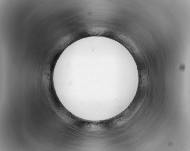 X0000101980498200808151404