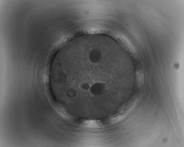 X0000101980499200808151404