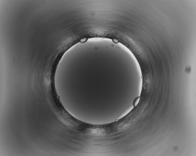 X0000101980500200808151404