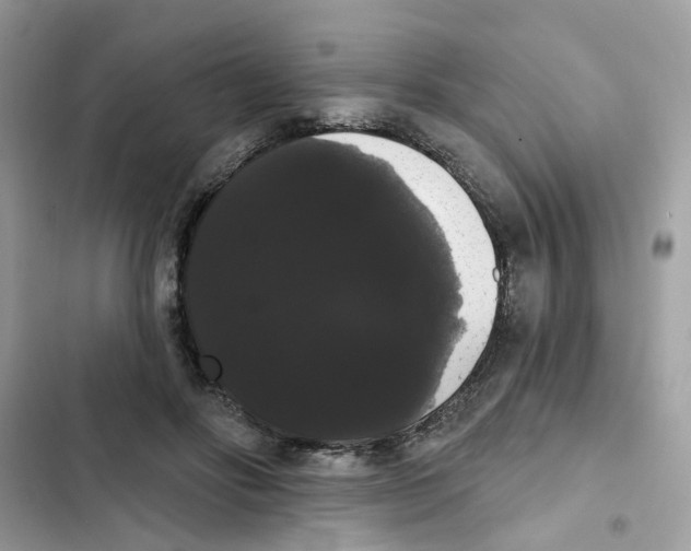 X0000101980502200808151404