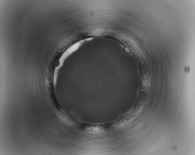 X0000101980503200808151404