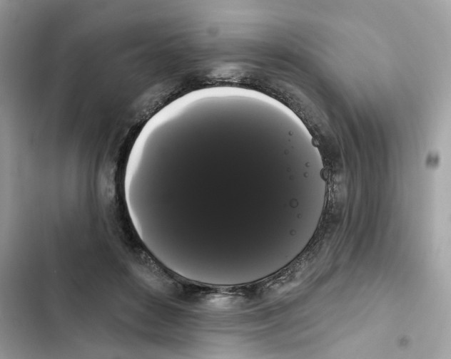 X0000101980504200808151404