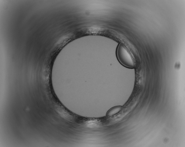 X0000101980505200808151404