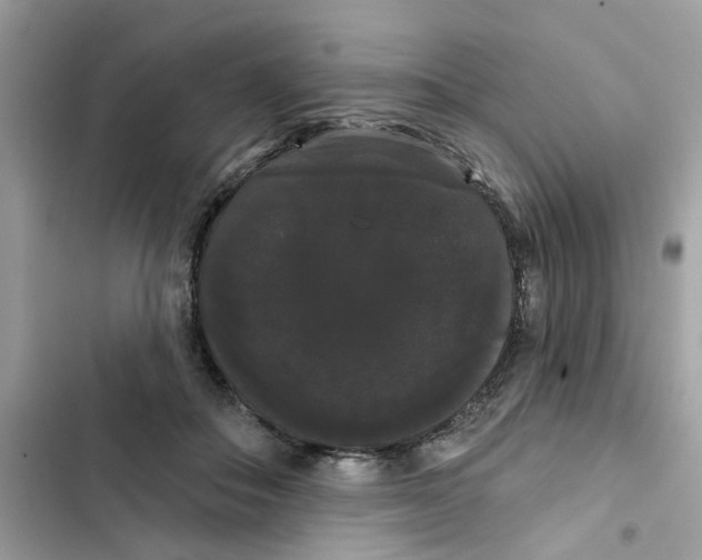 X0000101980506200808151404