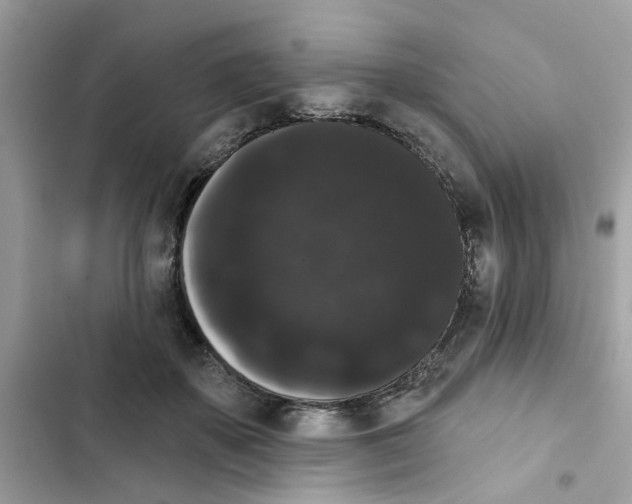 X0000101980507200808151404