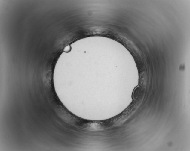 X0000101980509200808151404