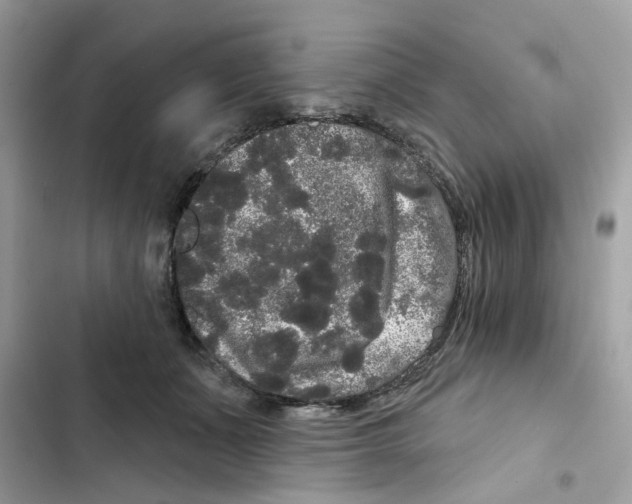 X0000101980511200808151404