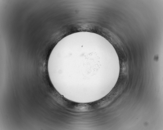 X0000101980514200808151404