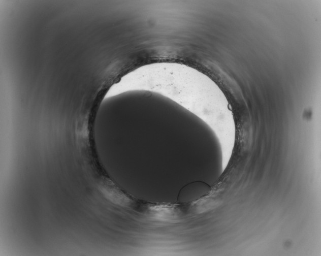 X0000101980516200808151404