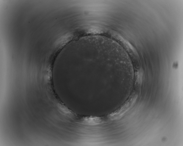 X0000101980517200808151404