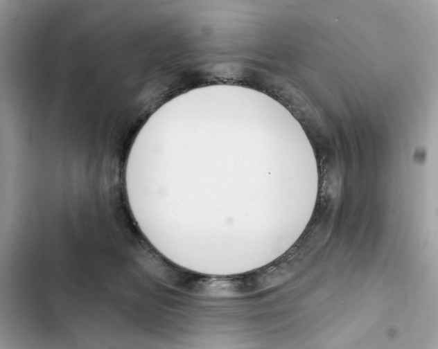 X0000101980518200808151404