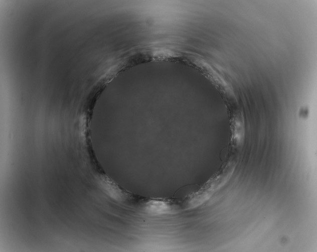 X0000101980519200808151404