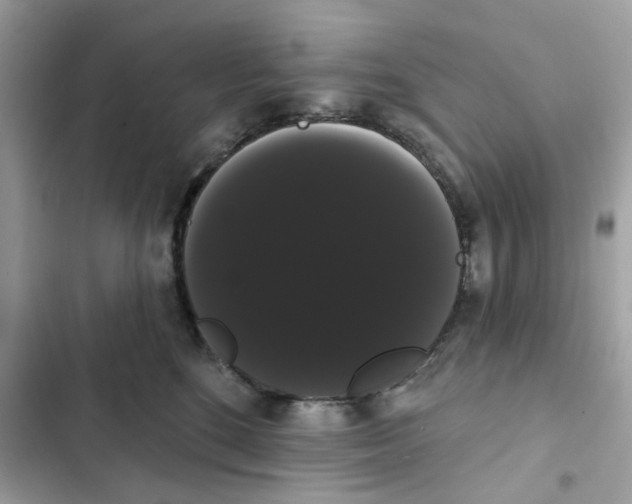 X0000101980520200808151404