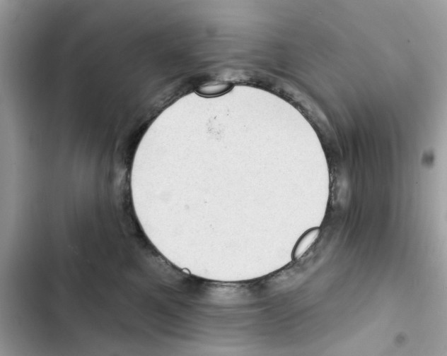 X0000101980521200808151404