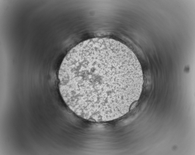 X0000101980523200808151404