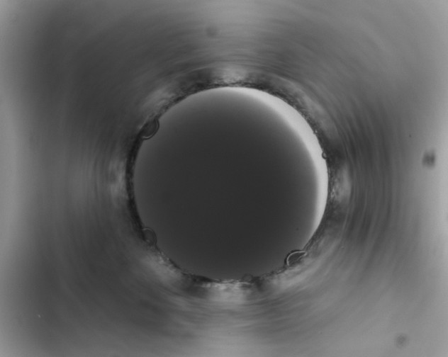 X0000101980524200808151404