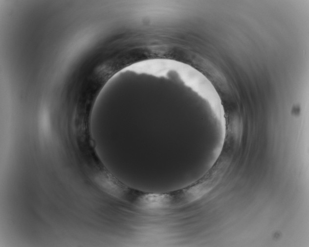 X0000101980526200808151404