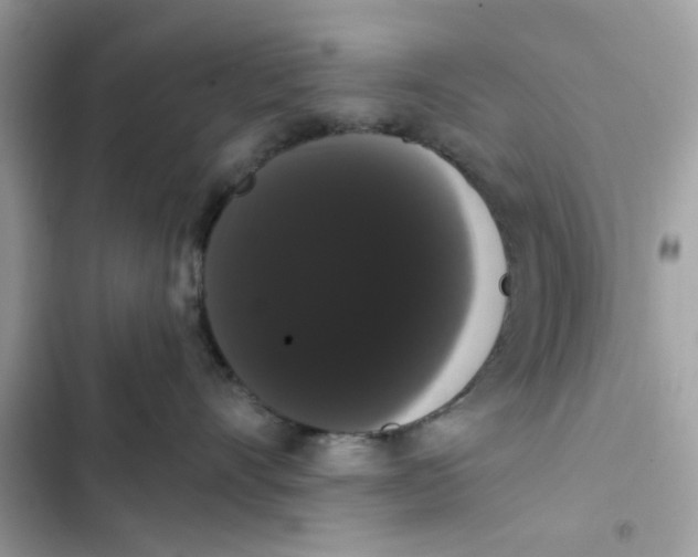 X0000101980528200808151404