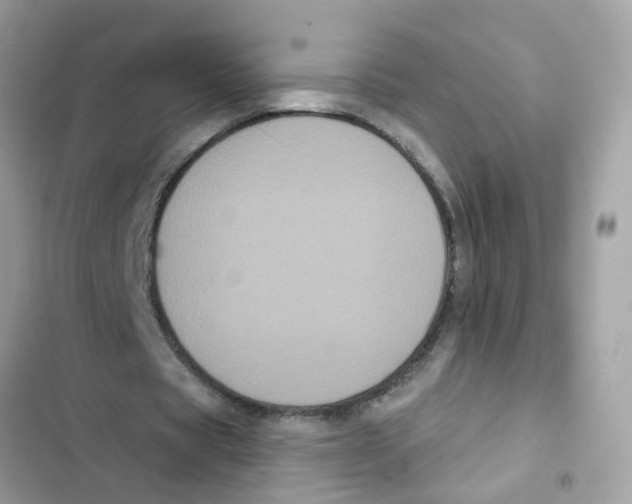 X0000101980529200808151403