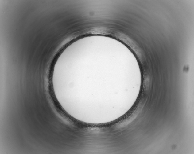 X0000101980530200808151403