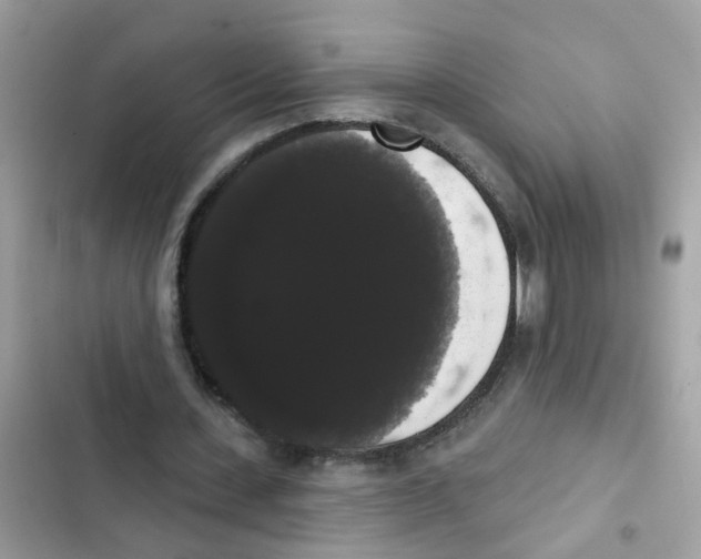 X0000101980531200808151403