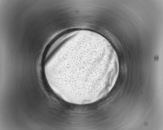 X0000101980532200808151403