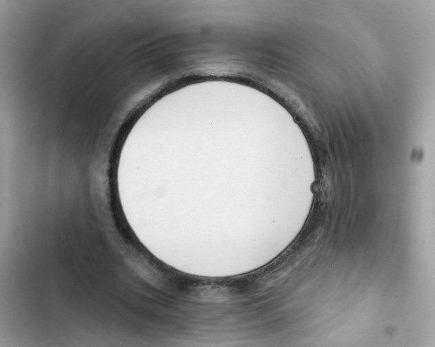 X0000101980535200808151403