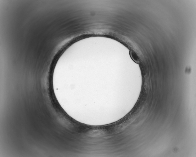 X0000101980536200808151403