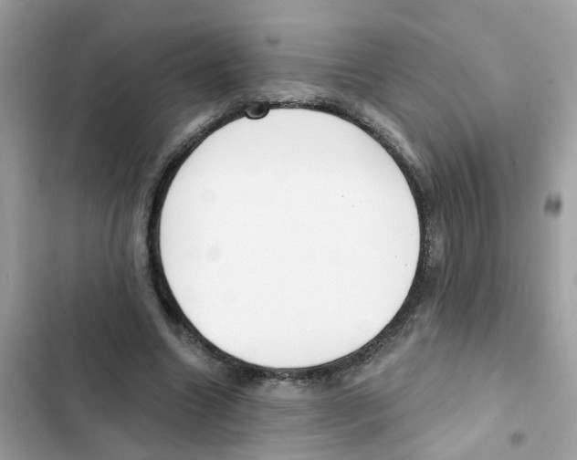 X0000101980538200808151404