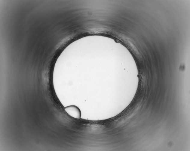 X0000101980539200808151404