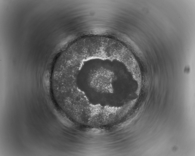 X0000101980542200808151404