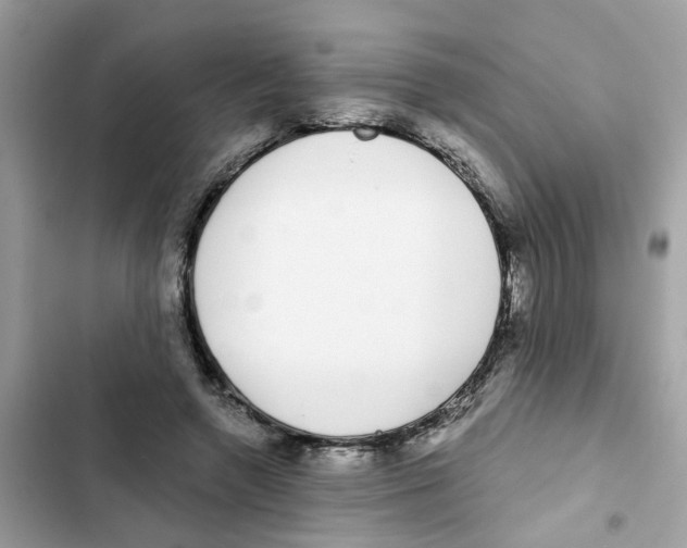 X0000101980546200808151404