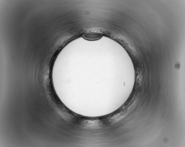 X0000101980548200808151404