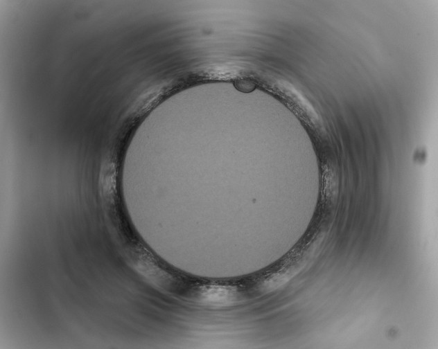 X0000101980549200808151404