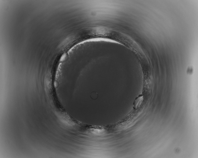 X0000101980552200808151404