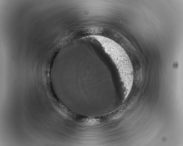 X0000101980553200808151404