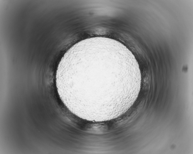 X0000101980555200808151404