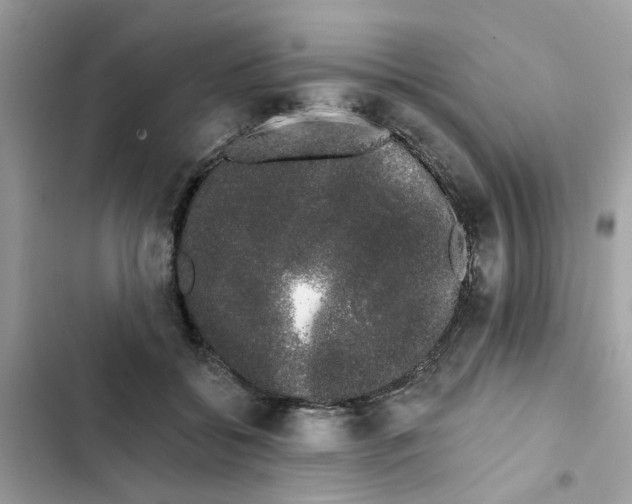 X0000101980556200808151404