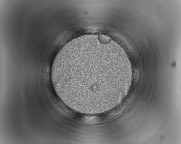 X0000101980557200808151404