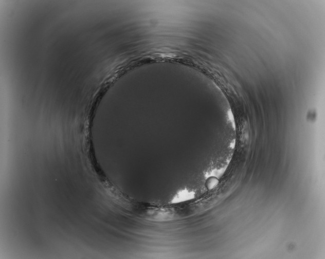 X0000101980559200808151404