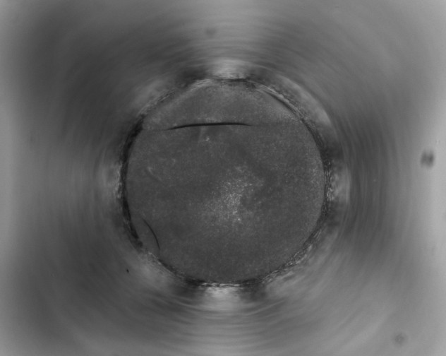 X0000101980560200808151404