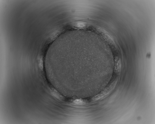 X0000101980562200808151404